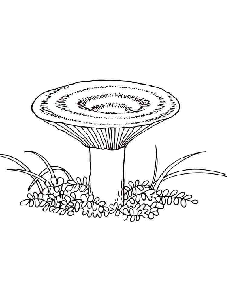 34 Fun Mushrooms Coloring Pages Printable 22