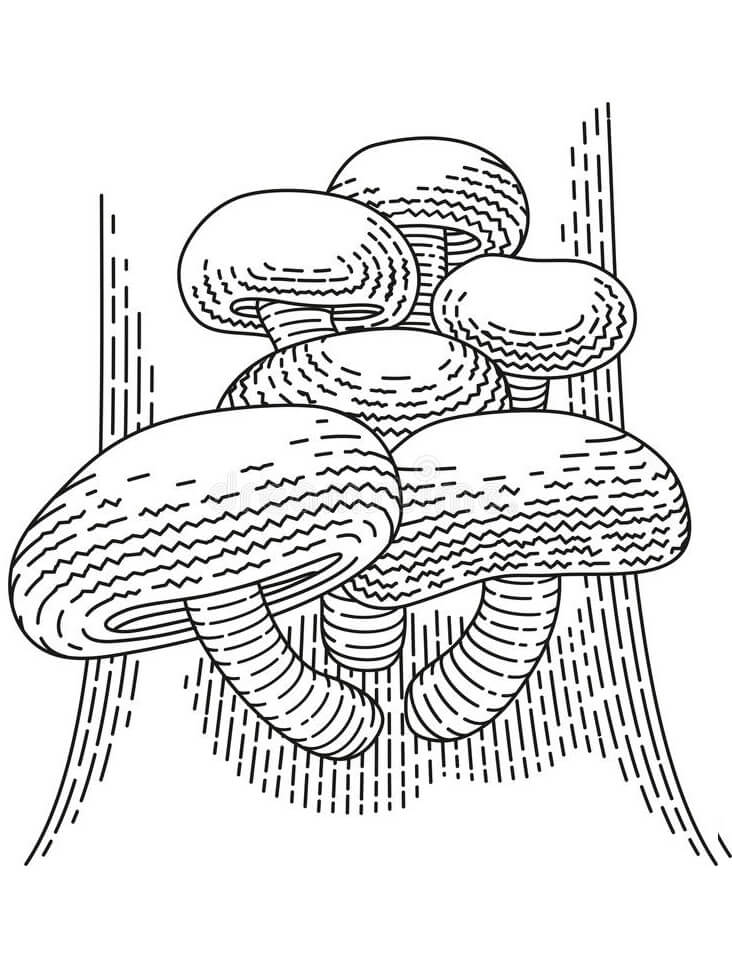 34 Fun Mushrooms Coloring Pages Printable 23