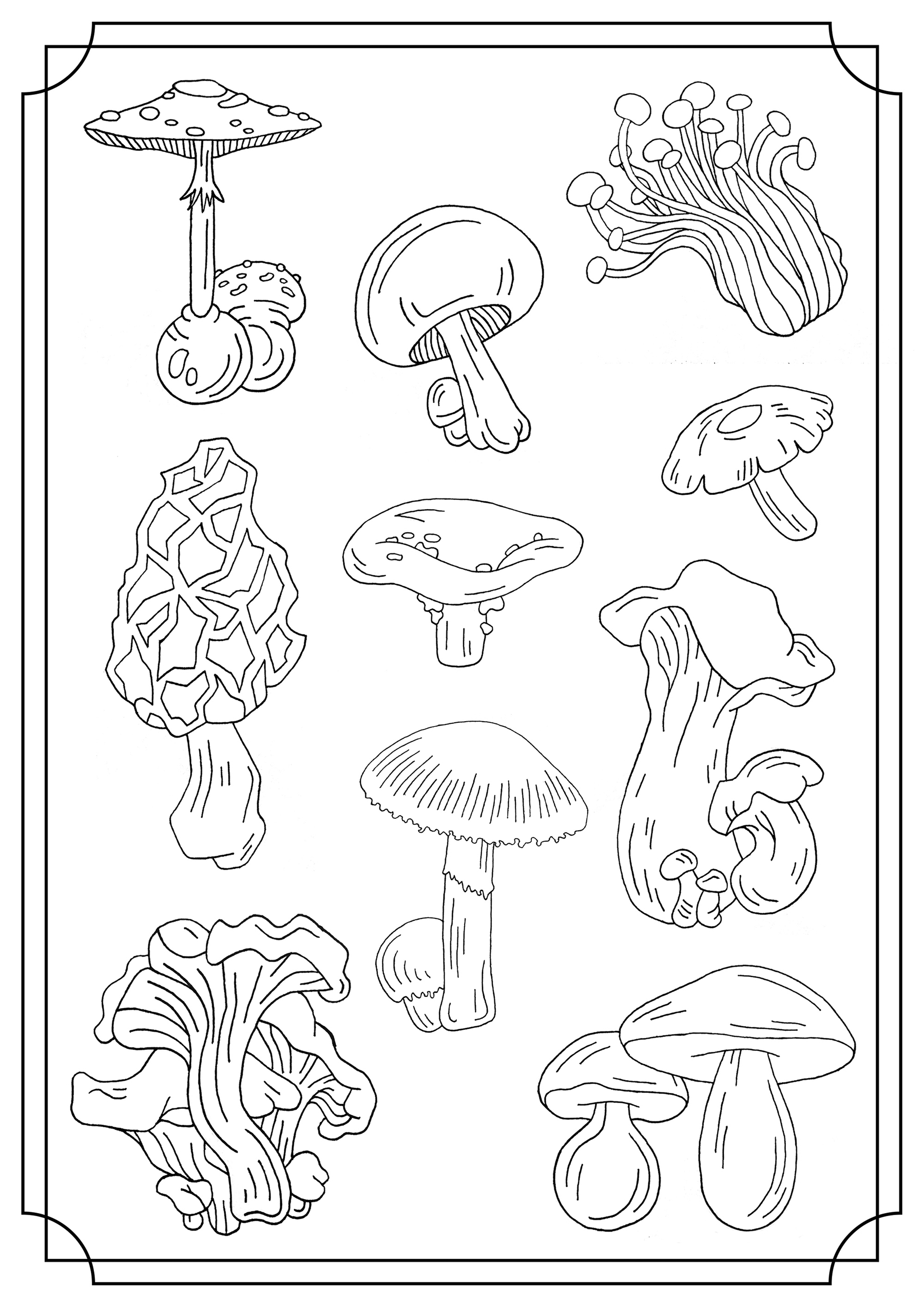 34 Fun Mushrooms Coloring Pages Printable 3