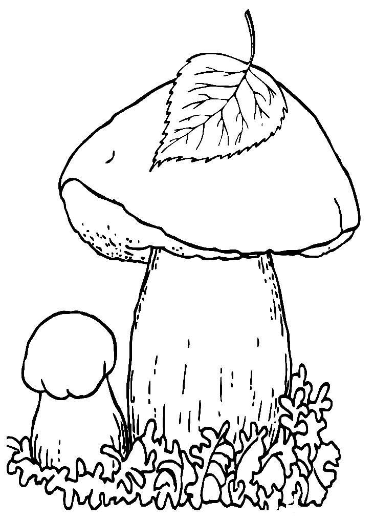 34 Fun Mushrooms Coloring Pages Printable 34