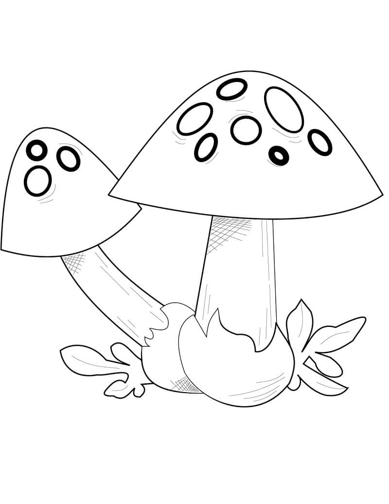 34 Fun Mushrooms Coloring Pages Printable 5