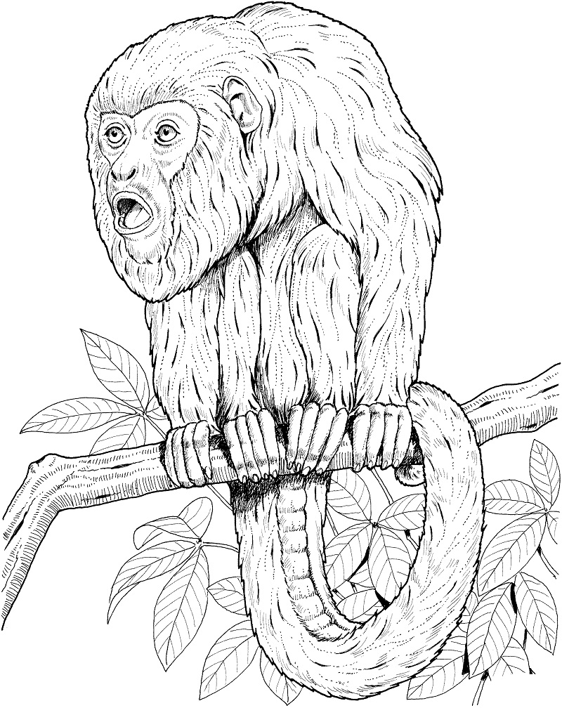 36 Cute Printable Monkey Coloring Pages Printable 11