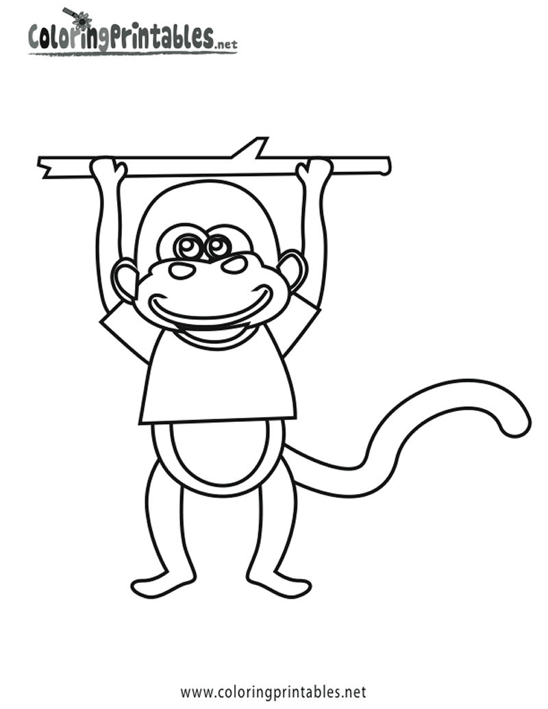 36 Cute Printable Monkey Coloring Pages Printable 23