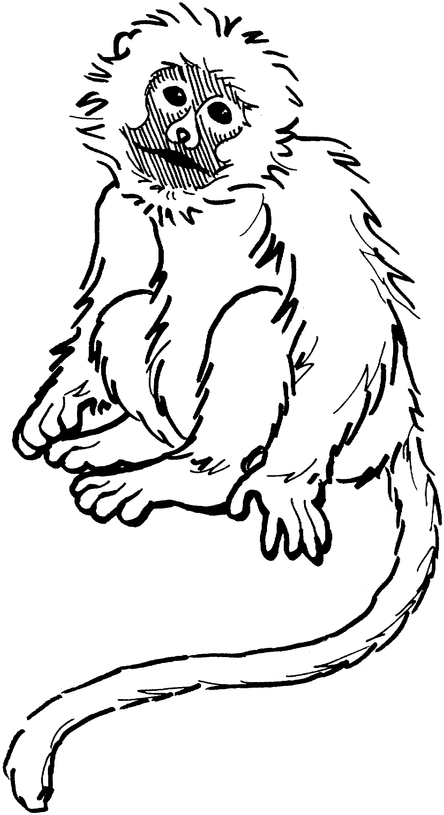 36 Cute Printable Monkey Coloring Pages Printable 9