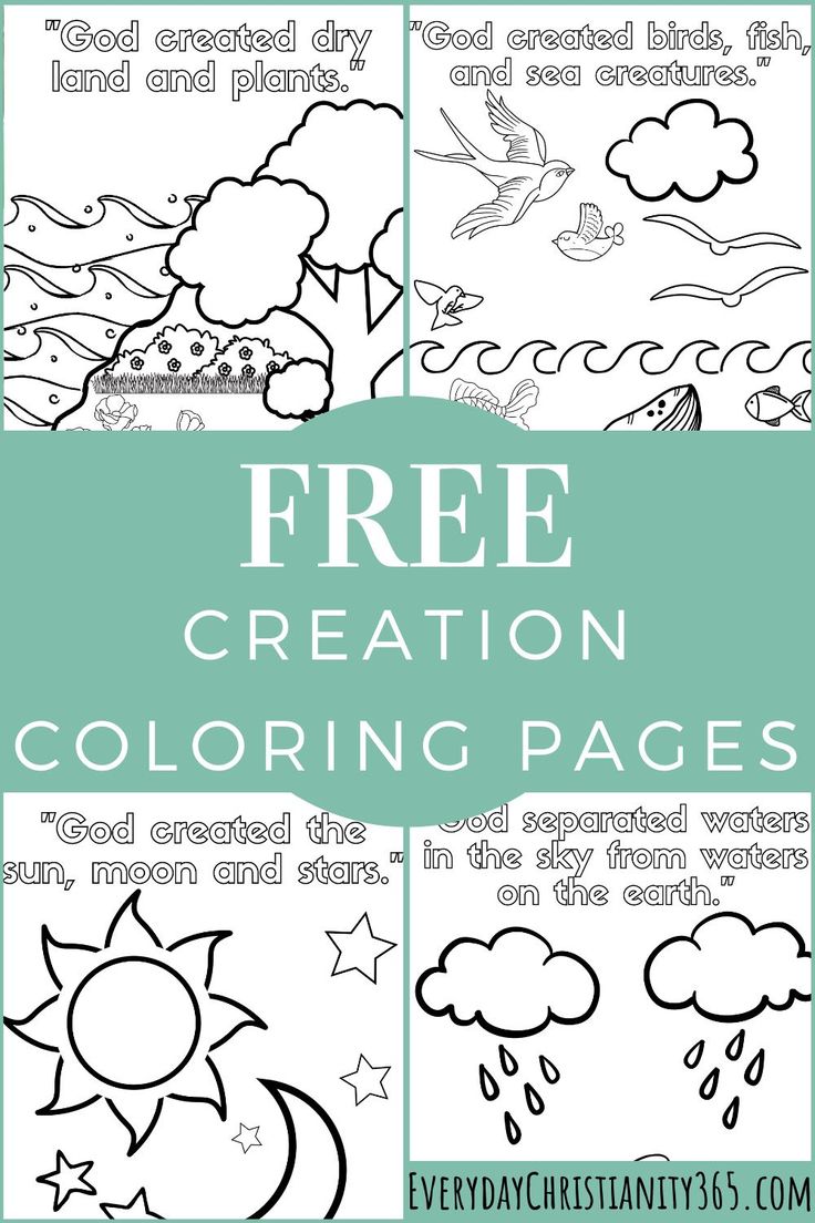 37 Creation Coloring Pages Printable 33