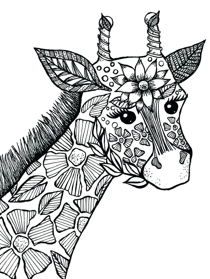 39 Challenging Hard Animal Coloring Pages Printable 31