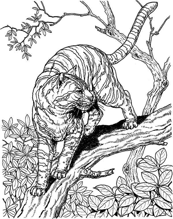 39 Challenging Hard Animal Coloring Pages Printable 33