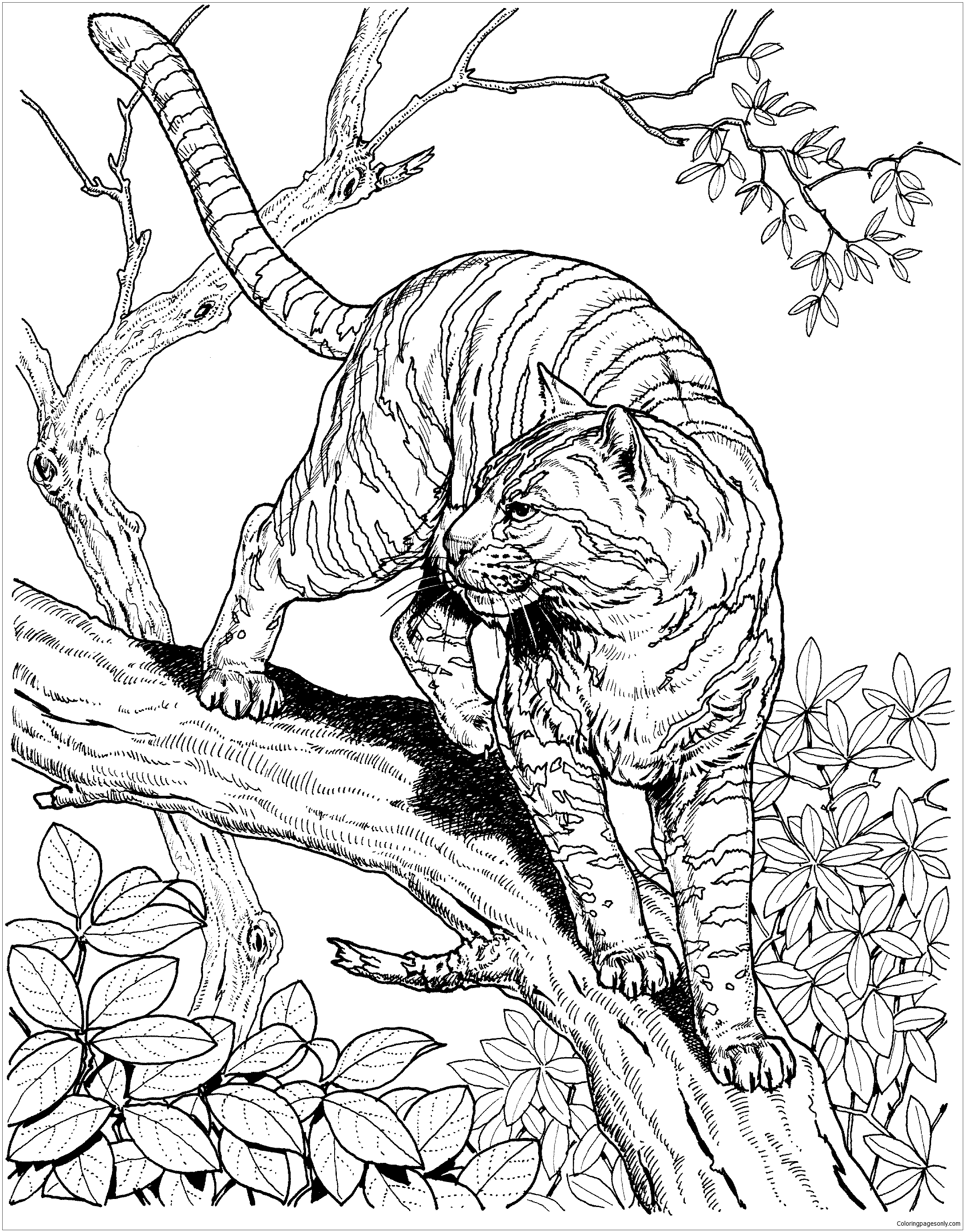 39 Challenging Hard Animal Coloring Pages Printable 7