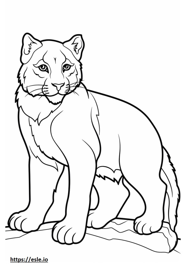 99 Bobcats Coloring Pages Printable 100