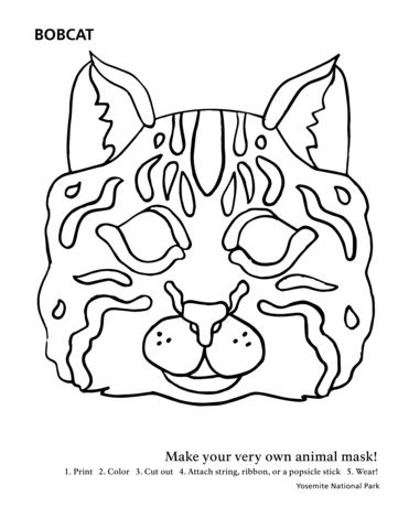 99 Bobcats Coloring Pages Printable 17