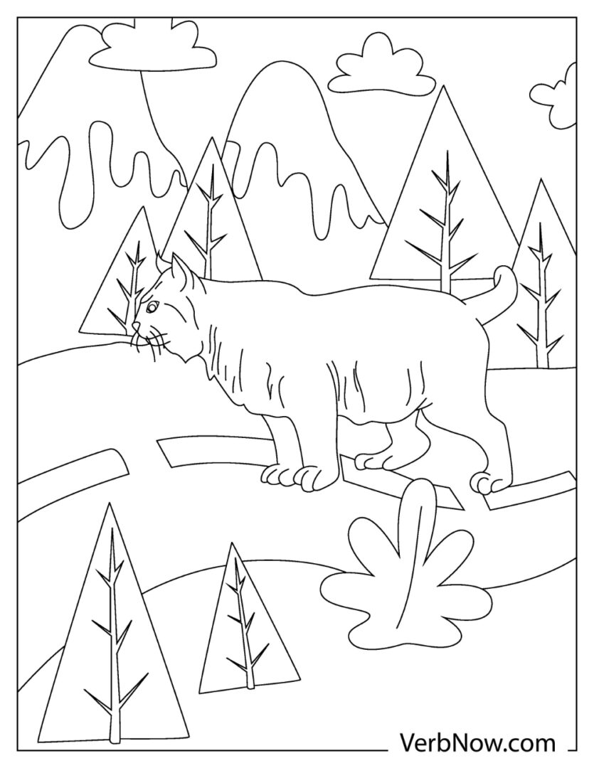 99 Bobcats Coloring Pages Printable 27