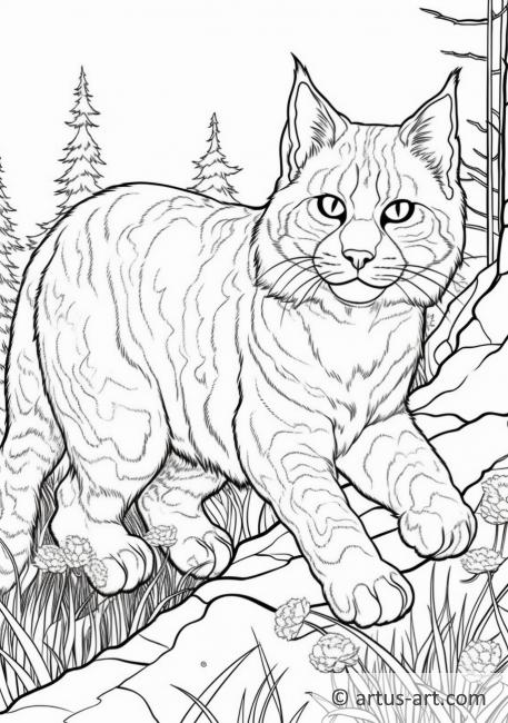 99 Bobcats Coloring Pages Printable 28