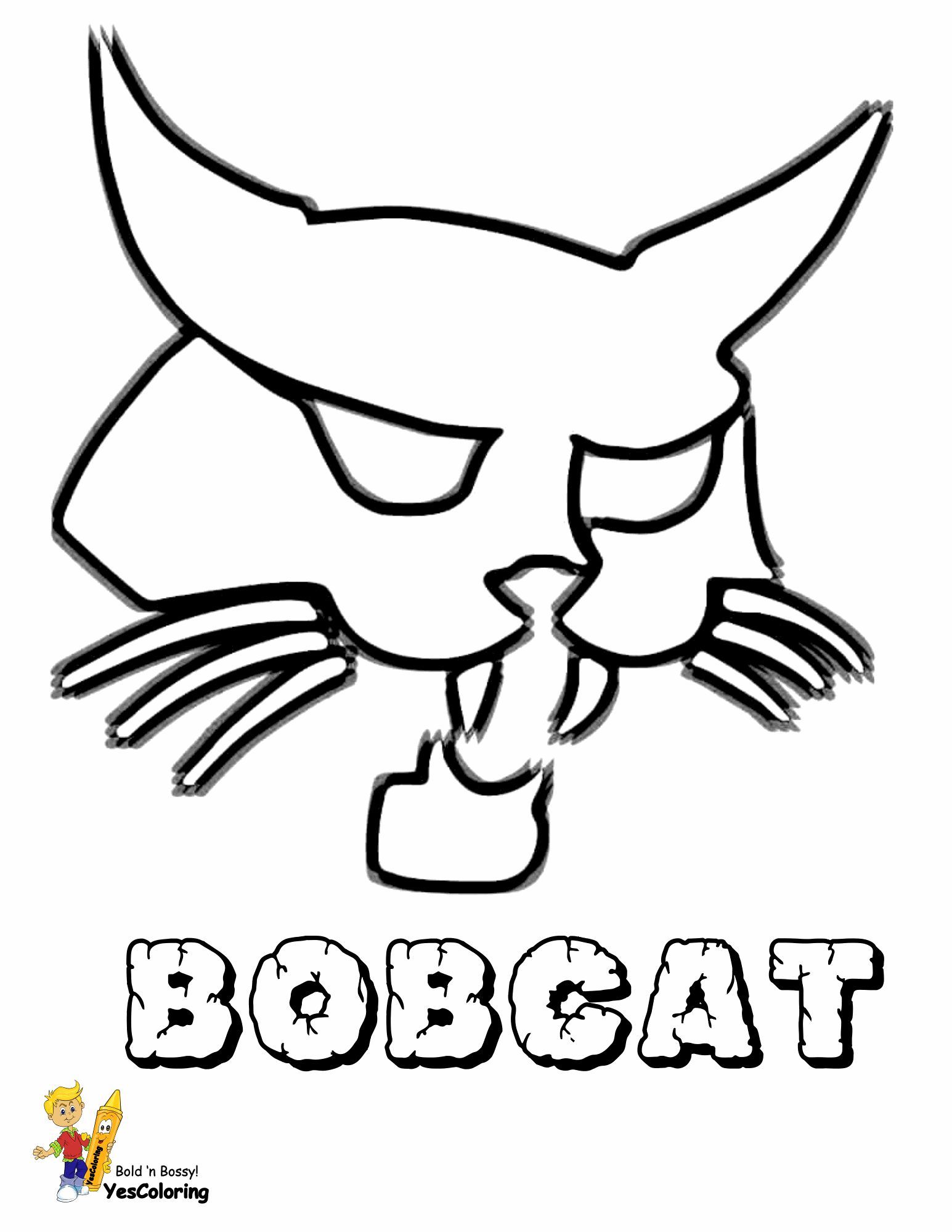 99 Bobcats Coloring Pages Printable 3