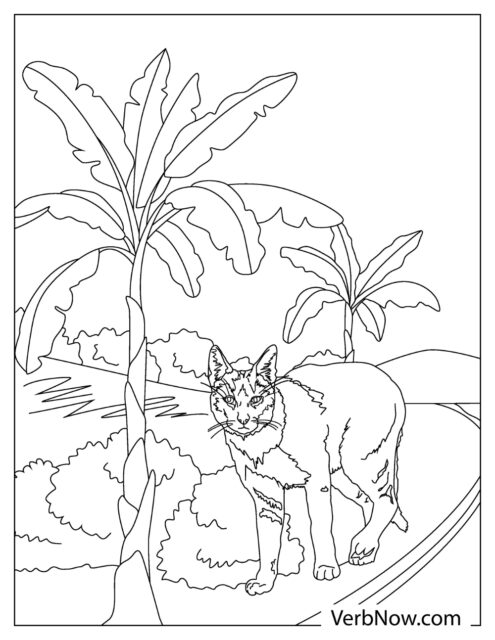 99 Bobcats Coloring Pages Printable 31