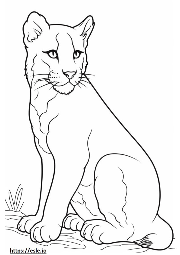 99 Bobcats Coloring Pages Printable 32