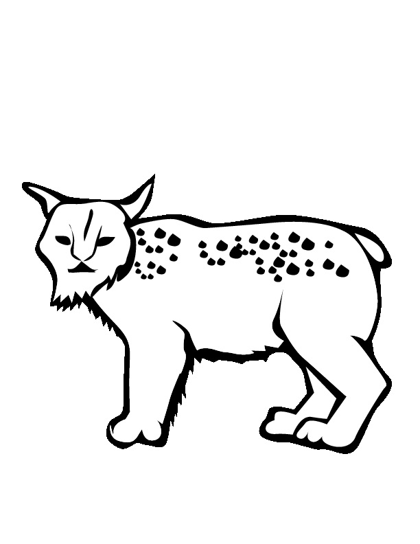 99 Bobcats Coloring Pages Printable 49