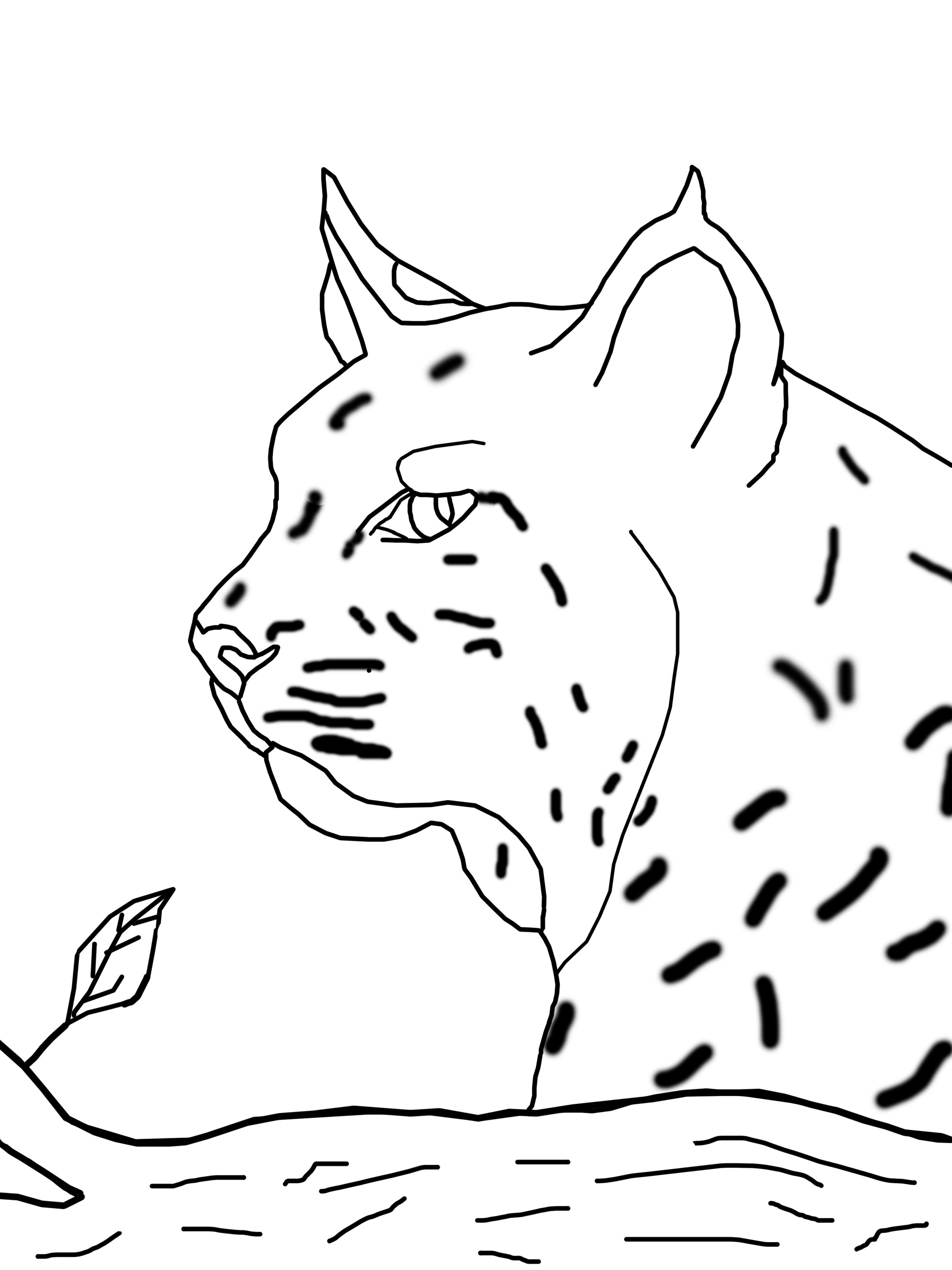 99 Bobcats Coloring Pages Printable 50