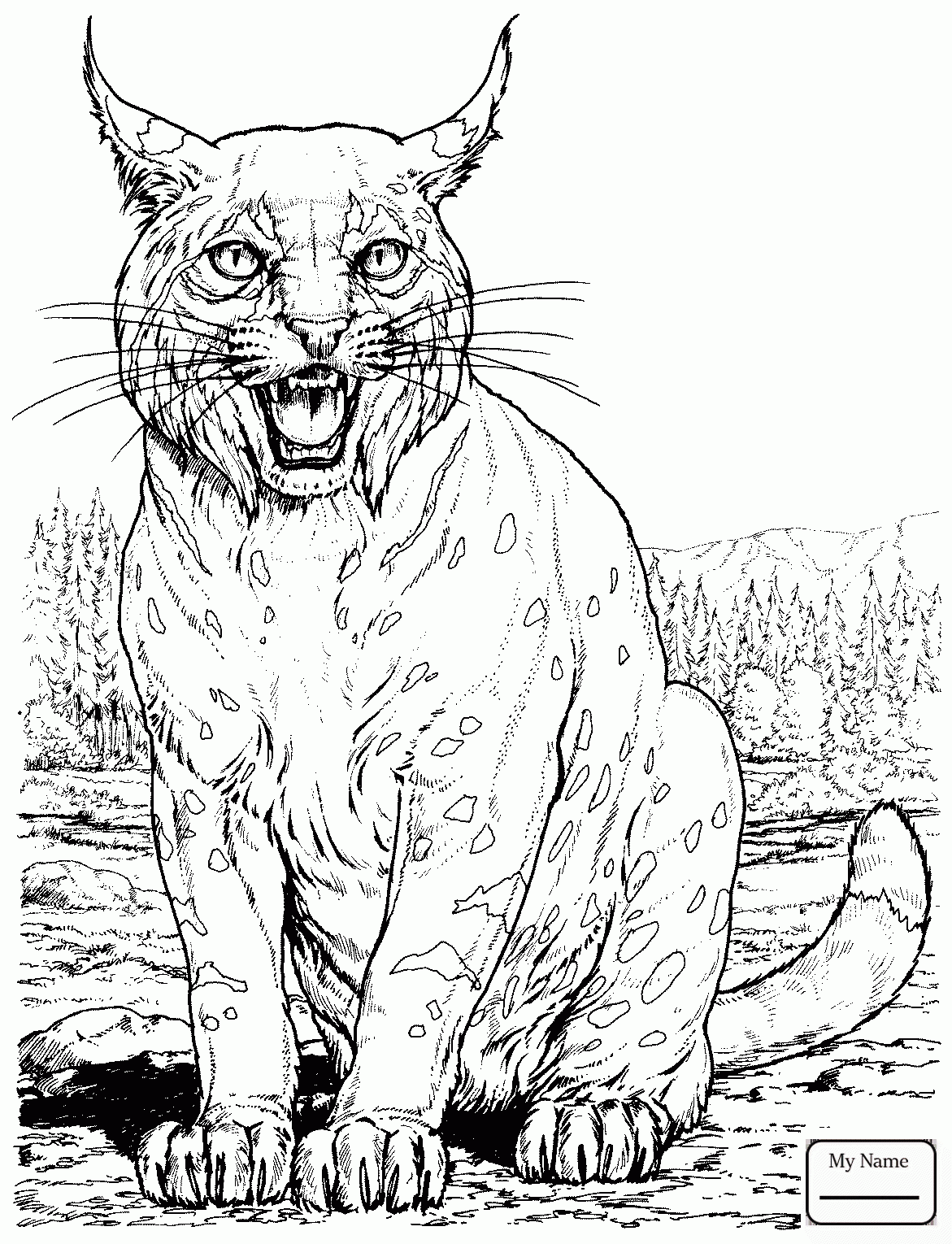 99 Bobcats Coloring Pages Printable 52