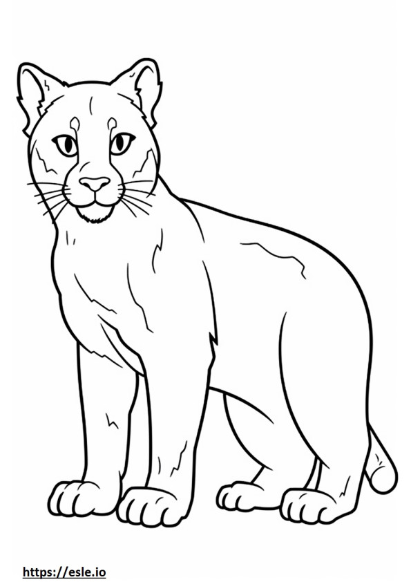 99 Bobcats Coloring Pages Printable 53