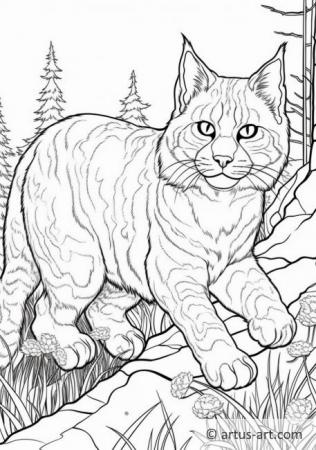 99 Bobcats Coloring Pages Printable 58