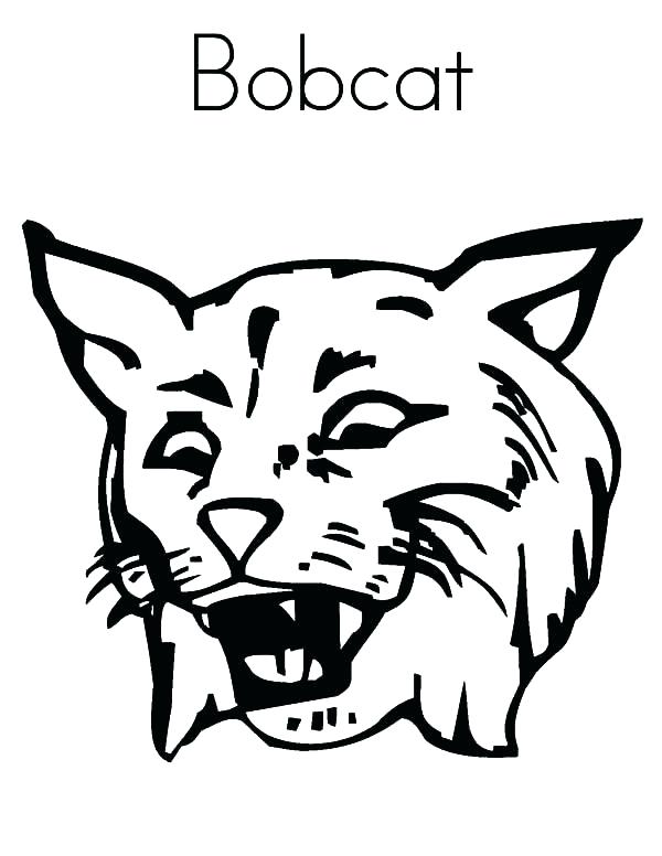 99 Bobcats Coloring Pages Printable 6