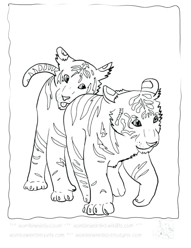 99 Bobcats Coloring Pages Printable 66