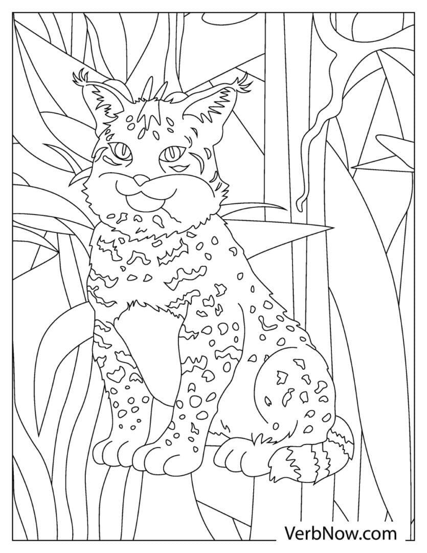 99 Bobcats Coloring Pages Printable 73