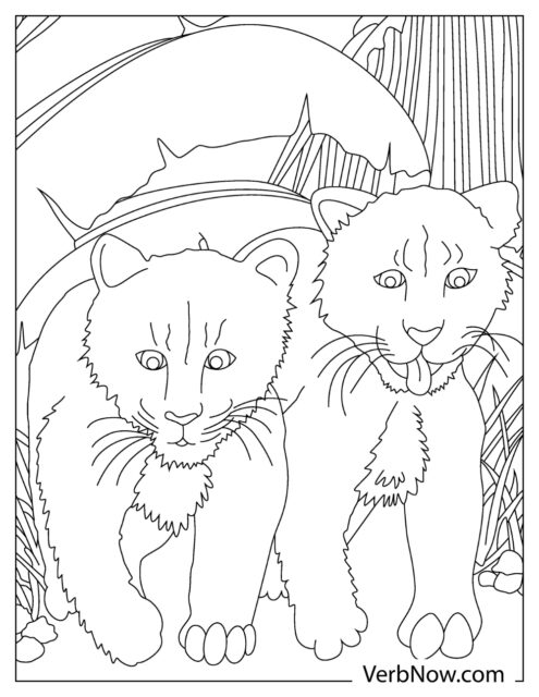 99 Bobcats Coloring Pages Printable 78