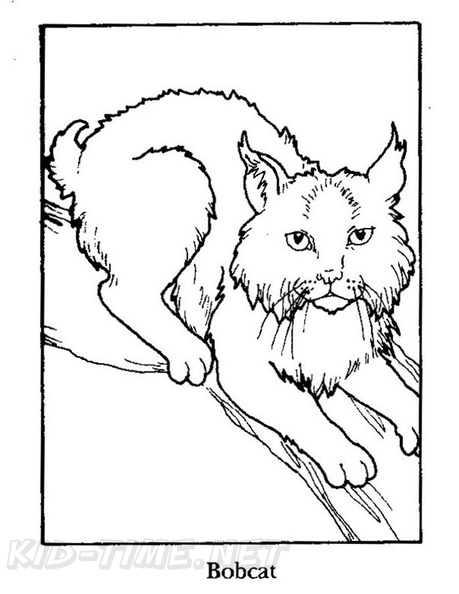 99 Bobcats Coloring Pages Printable 87