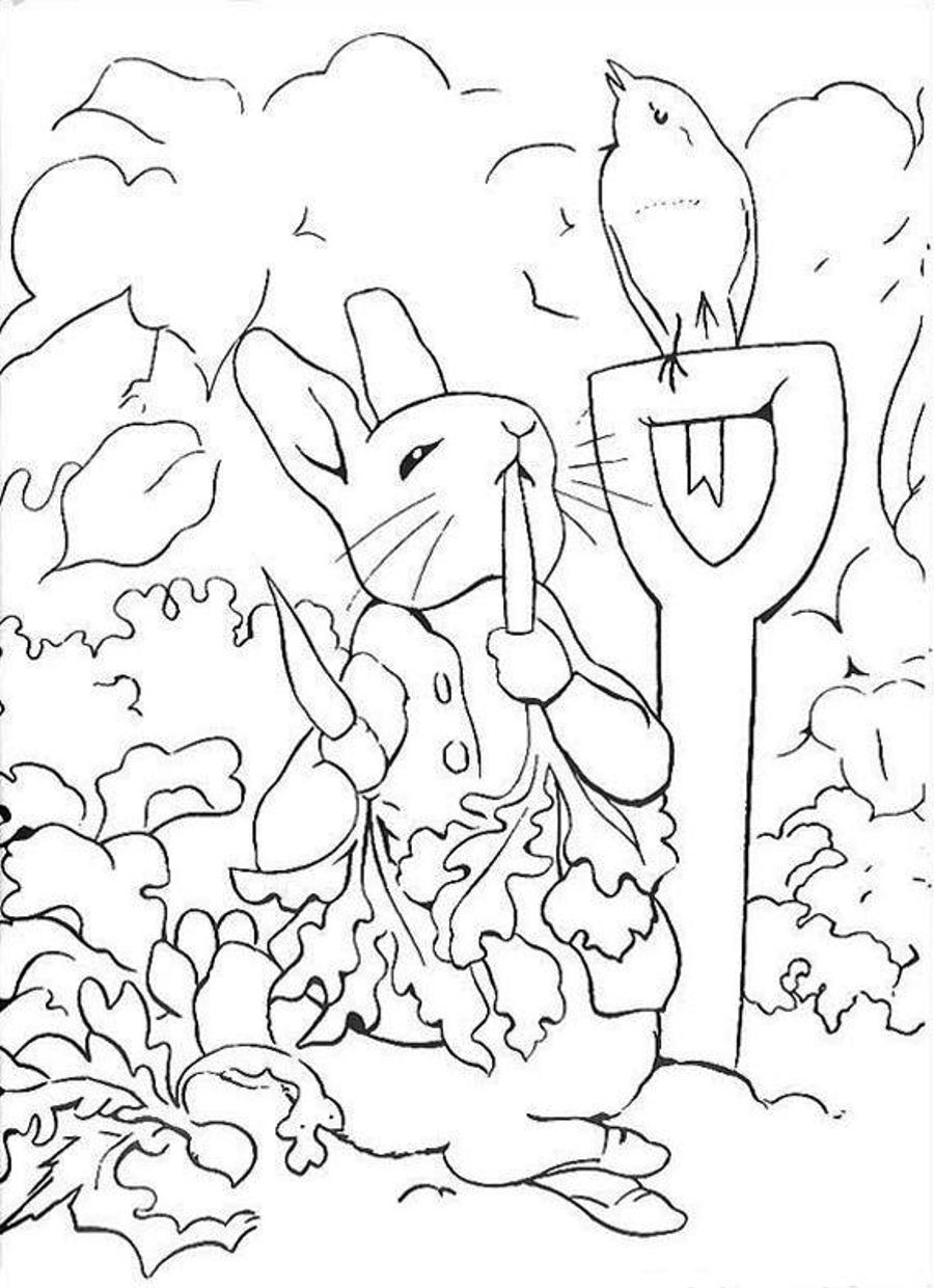 31 Harry the Bunny Coloring Pages Printable 14