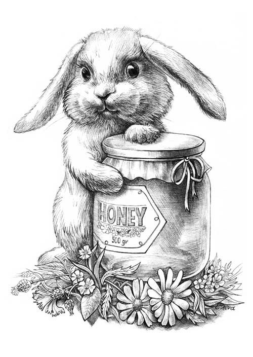 31 Harry the Bunny Coloring Pages Printable 24