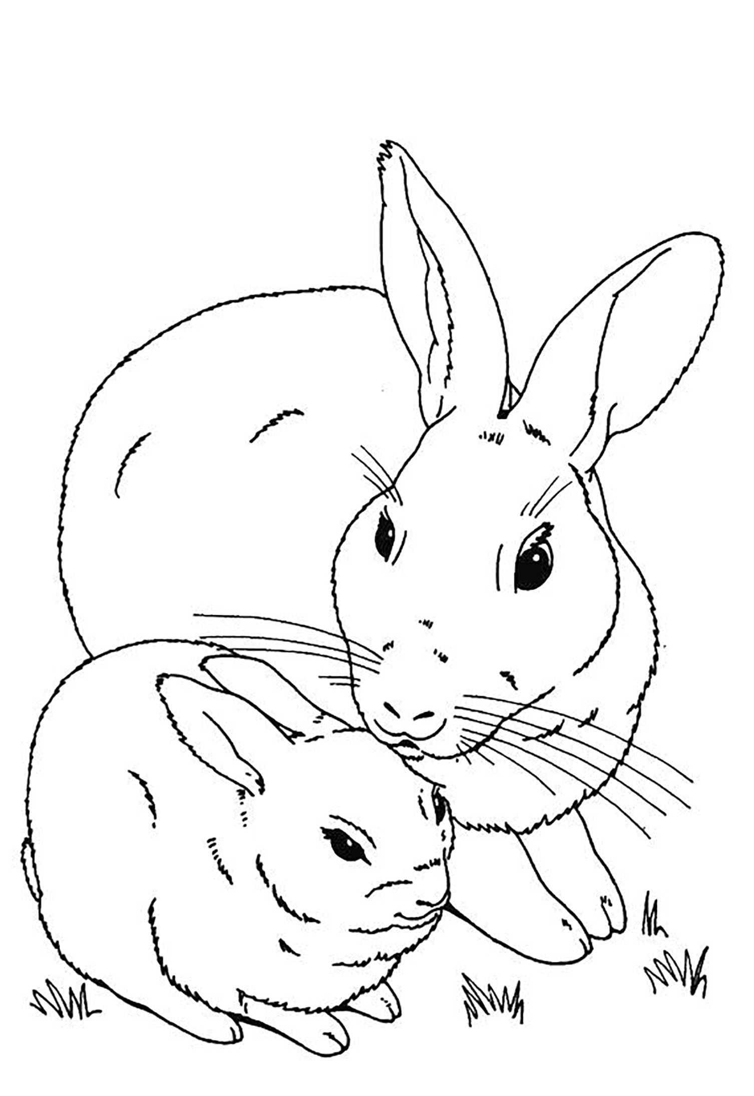 31 Harry the Bunny Coloring Pages Printable 26