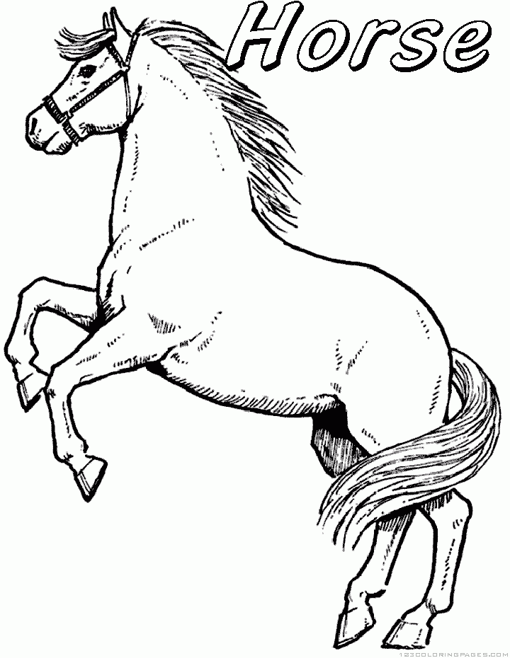 31 Horse Valentine Coloring Pages Printable 8