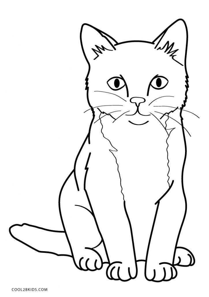 31 Little Cat Coloring Pages Printable 20