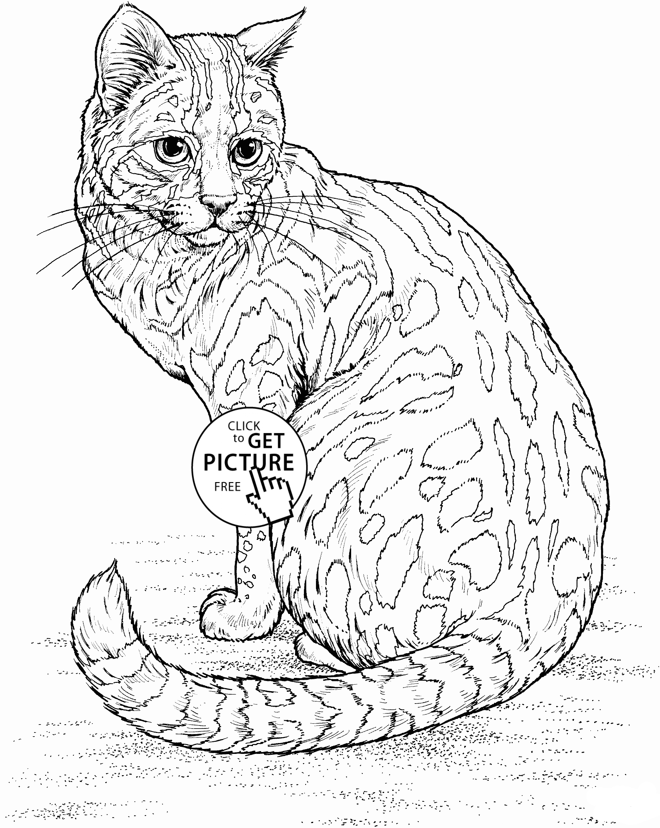 31 Little Cat Coloring Pages Printable 21