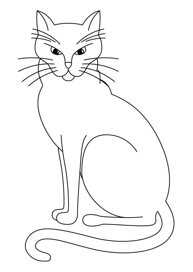 31 Little Cat Coloring Pages Printable 22