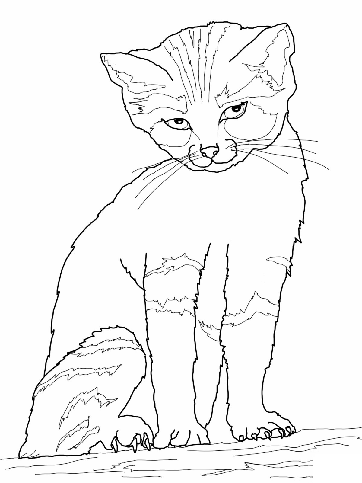 31 Little Cat Coloring Pages Printable 4