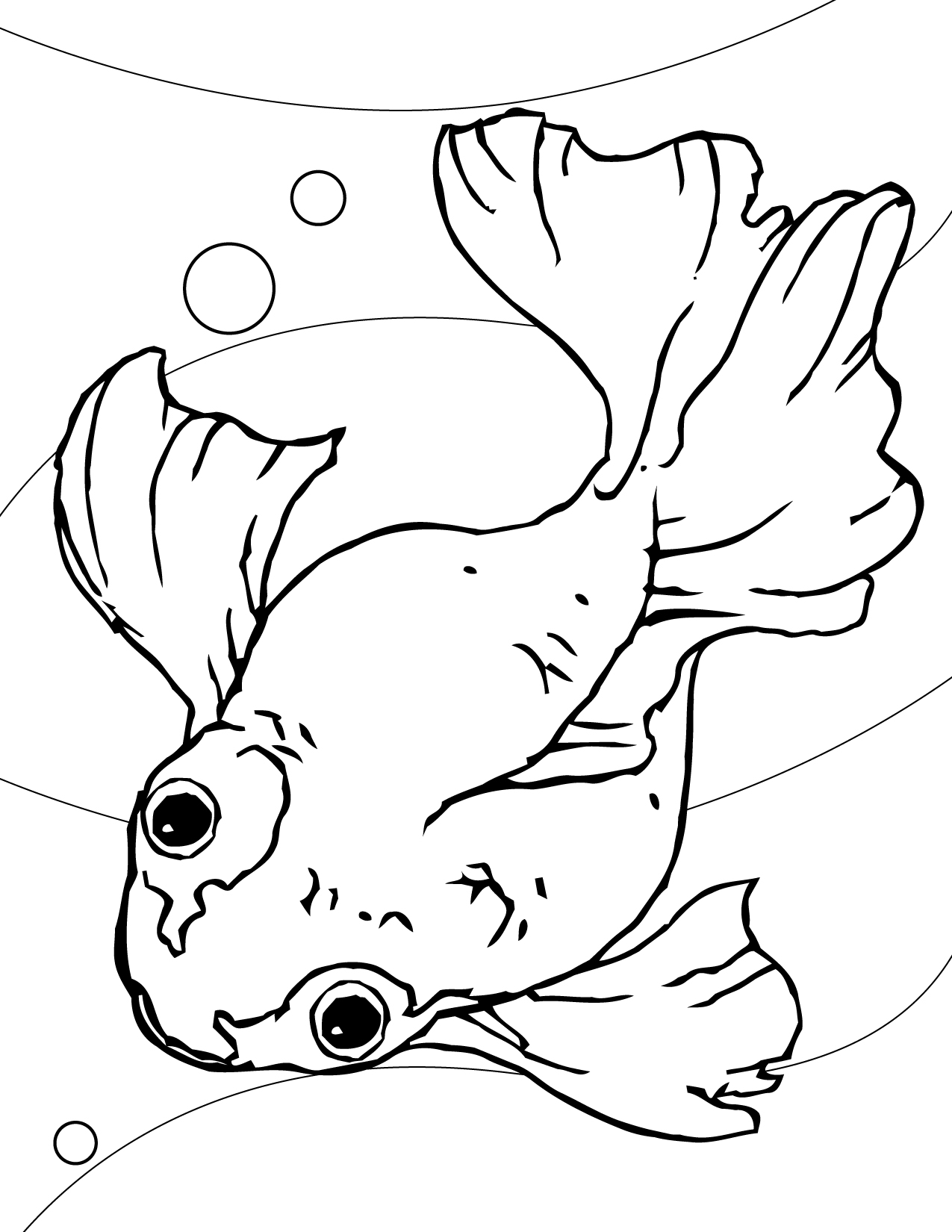 33 Playful Goldfish Coloring Pages Printable 1