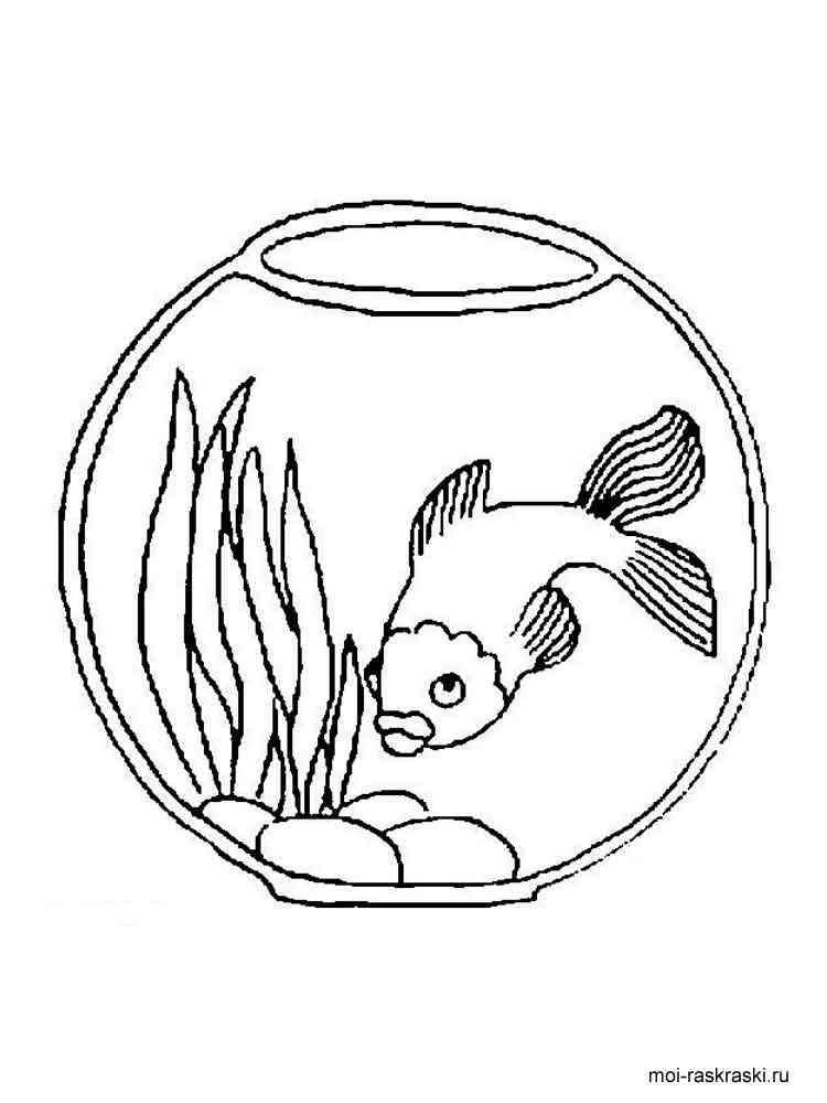 33 Playful Goldfish Coloring Pages Printable 15