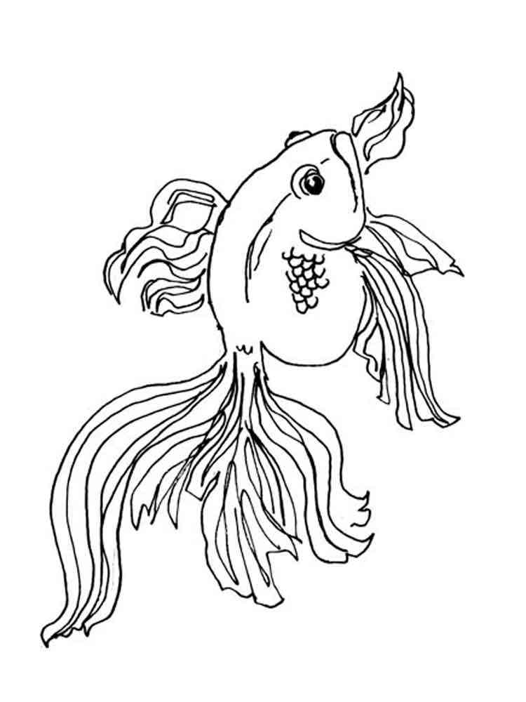 33 Playful Goldfish Coloring Pages Printable 2