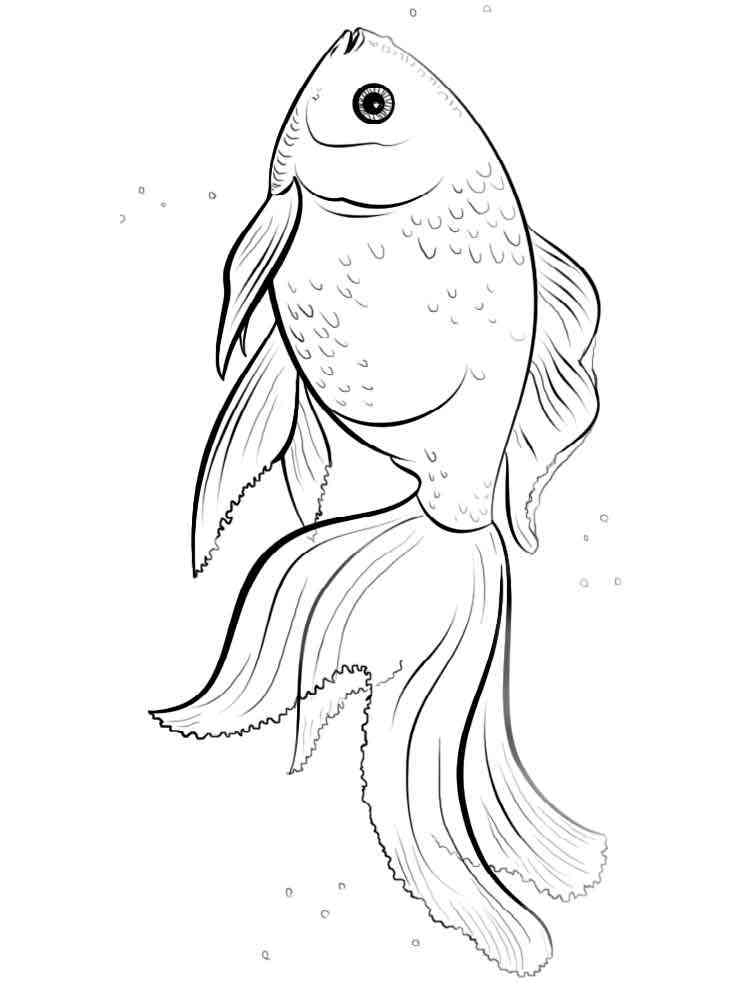 33 Playful Goldfish Coloring Pages Printable 30