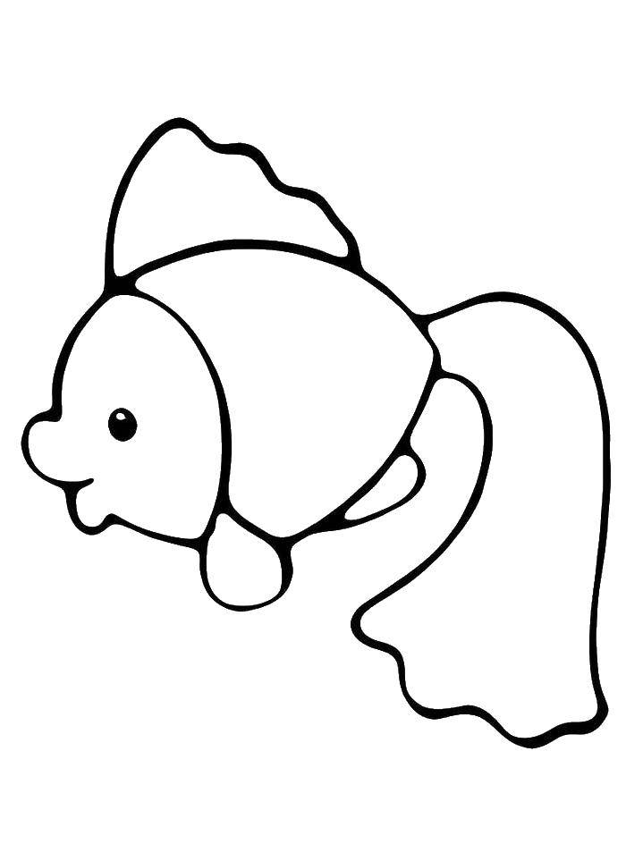 33 Playful Goldfish Coloring Pages Printable 32