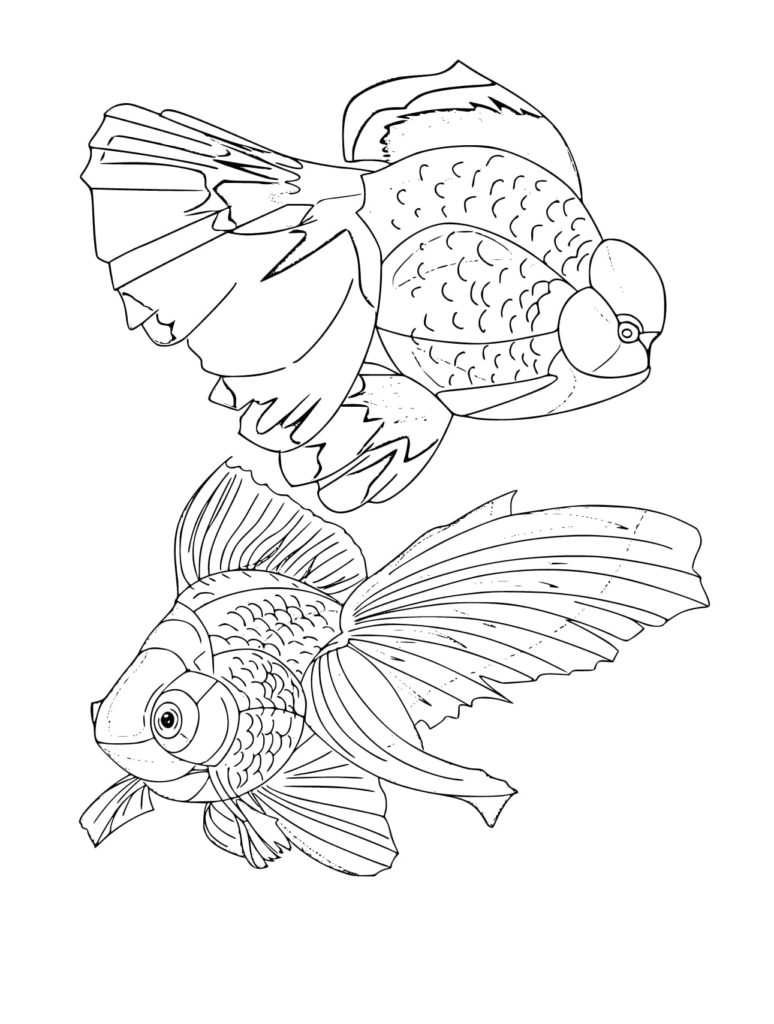 33 Playful Goldfish Coloring Pages Printable 34