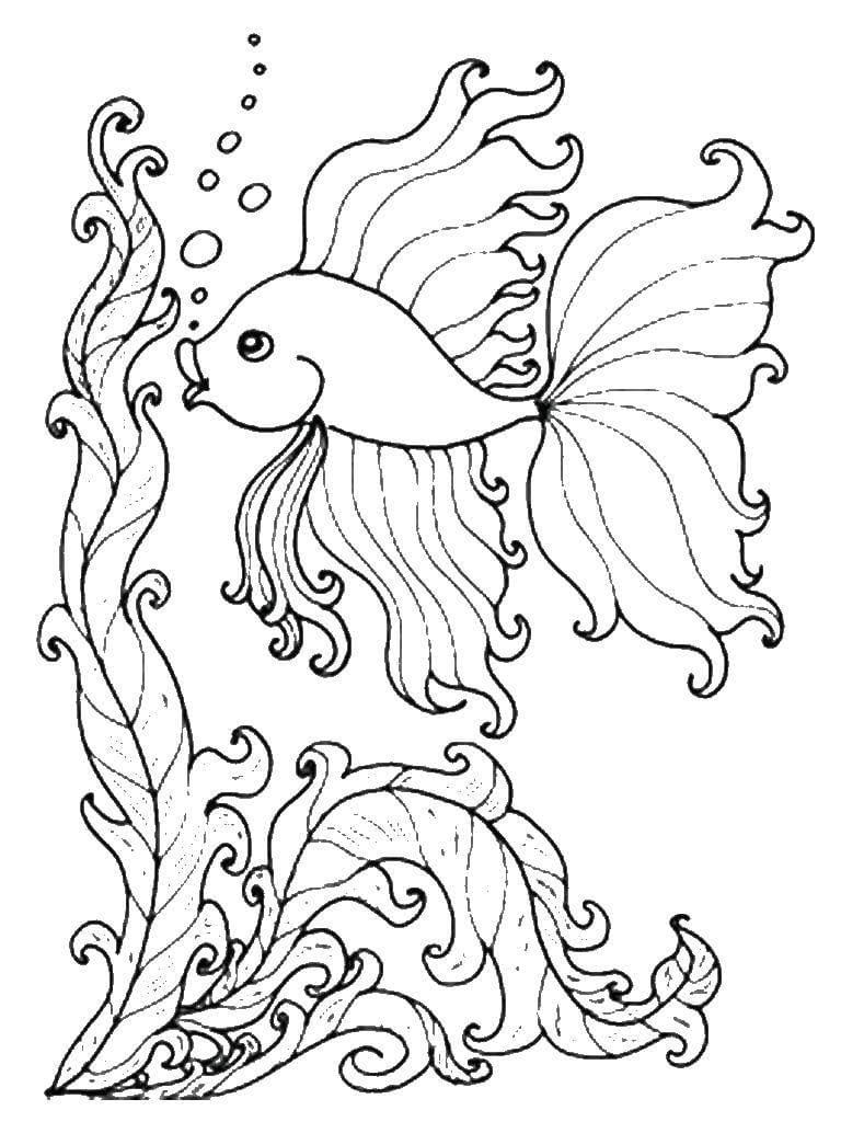 33 Playful Goldfish Coloring Pages Printable 8