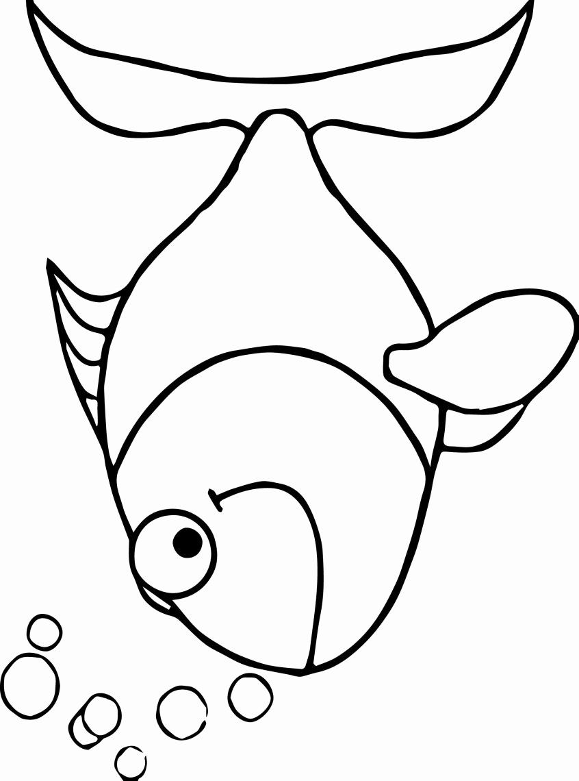 33 Playful Goldfish Coloring Pages Printable 9