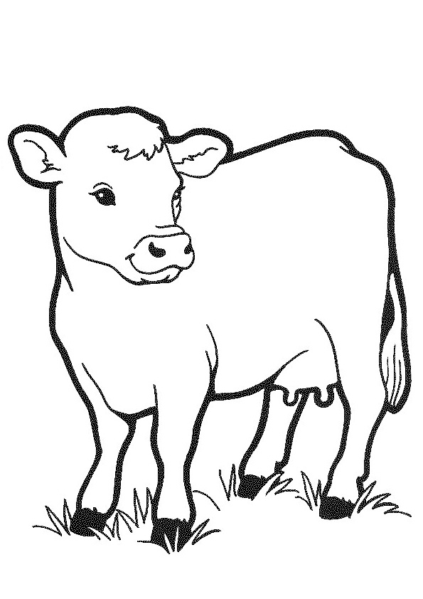 34 Cattle Truck Coloring Pages Fun Printable 25