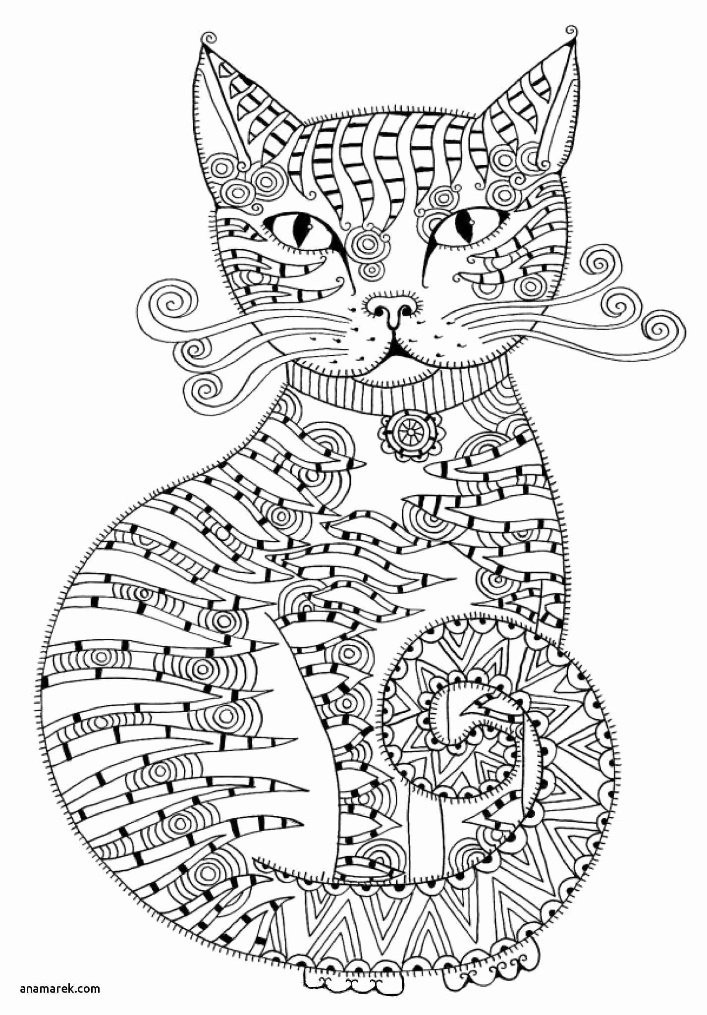 37 Kitty Cat Coloring Pages Free Printable 12