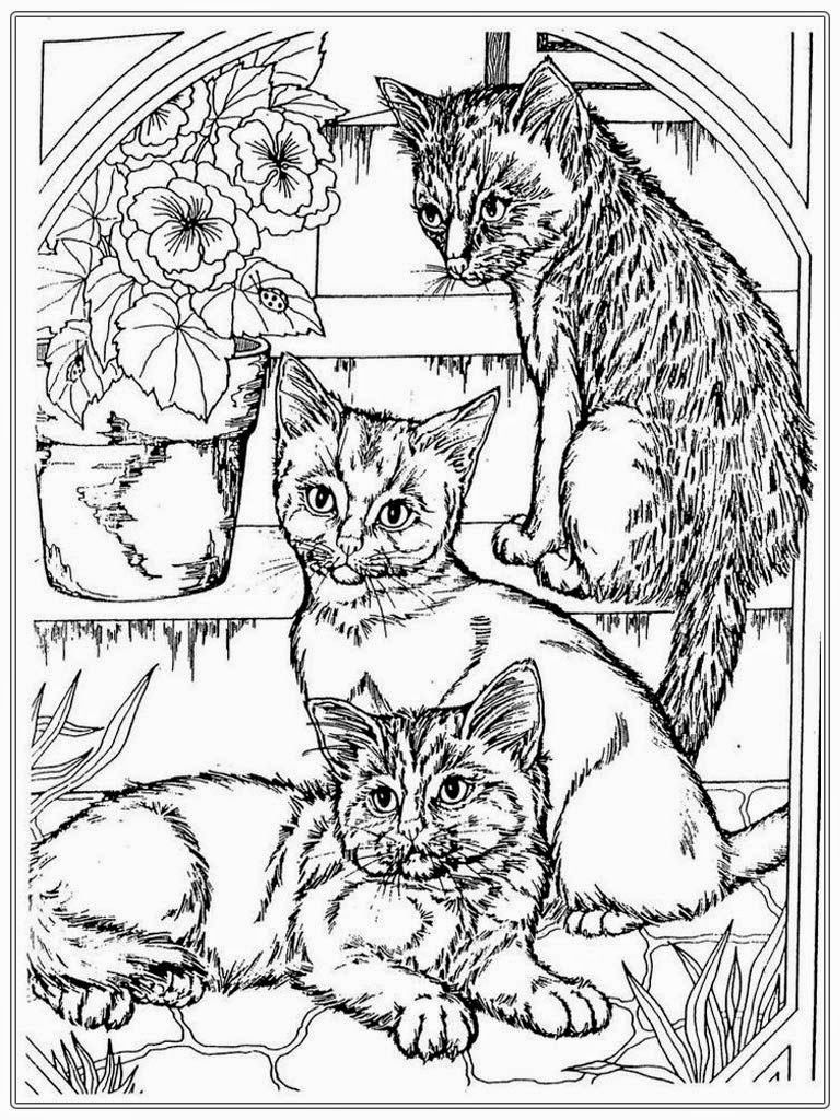 37 Kitty Cat Coloring Pages Free Printable 22