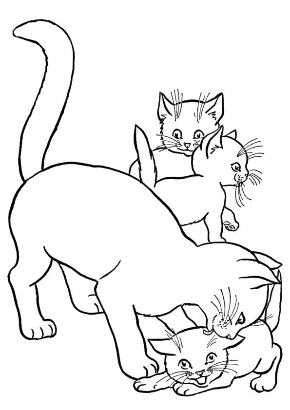 37 Kitty Cat Coloring Pages Free Printable 32