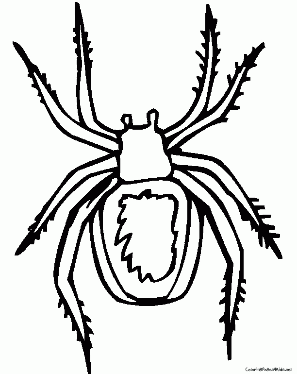 37 Spooky Halloween Spider Coloring Pages Printable 21